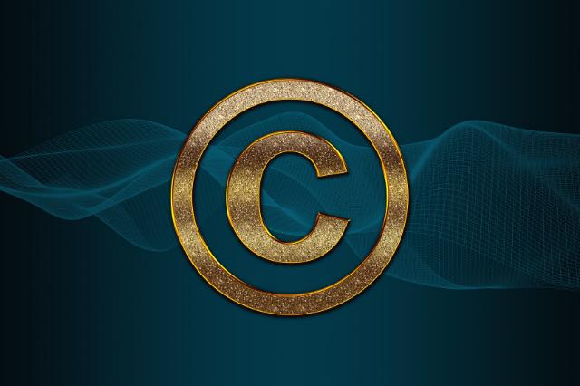 Copyright - Startup Flame