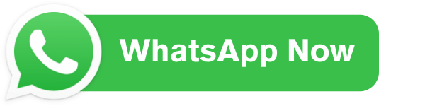 WhatsApp - Startup Flame